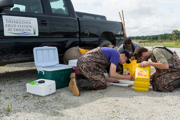 UIS students analyzing samples outdoors at the Therkildsen Field Station