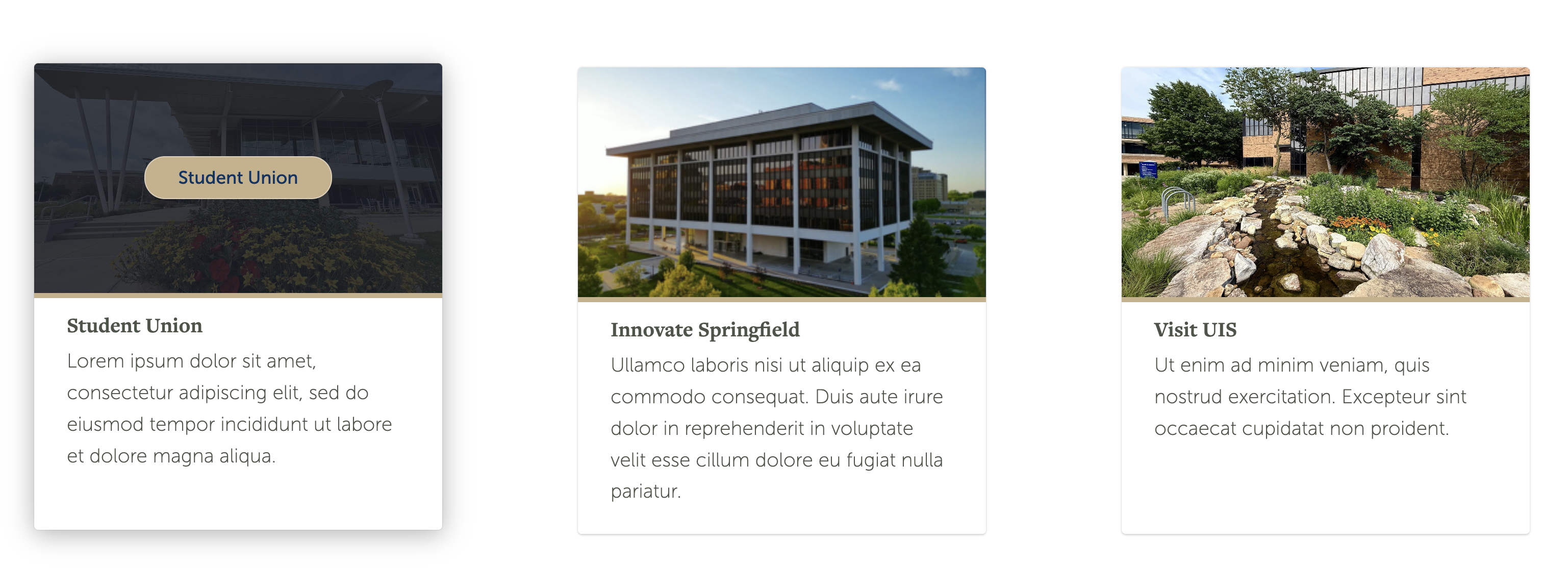 image card with description screenshot of published cards and hover effect