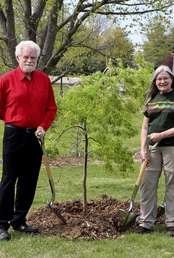 Planting trees