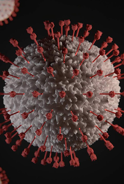 COVID Virus