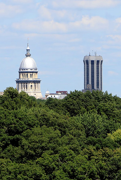 Springfield Skyline