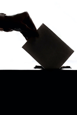 Hand putting ballot in box