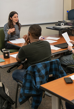 Students in a English class 