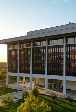 Horace Mann building in downtown Springfield at sunset, with trees and sidewalks in the foreground.