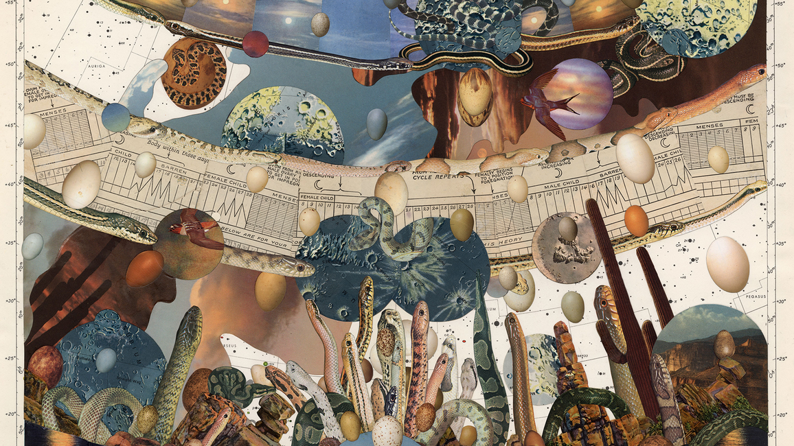 Doug Stapleton artwork