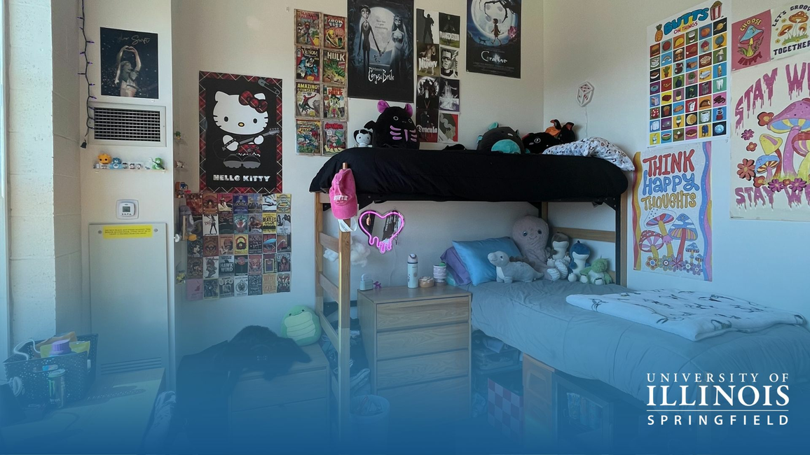 A dorm room is decorated with various posters, plush toys, and personal items arranged around a loft bed setup.