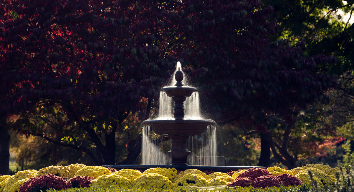 water fountain on the UIS campus
