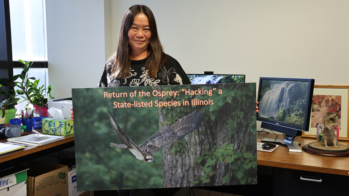 Woman in an office holding a large art print of an osprey.