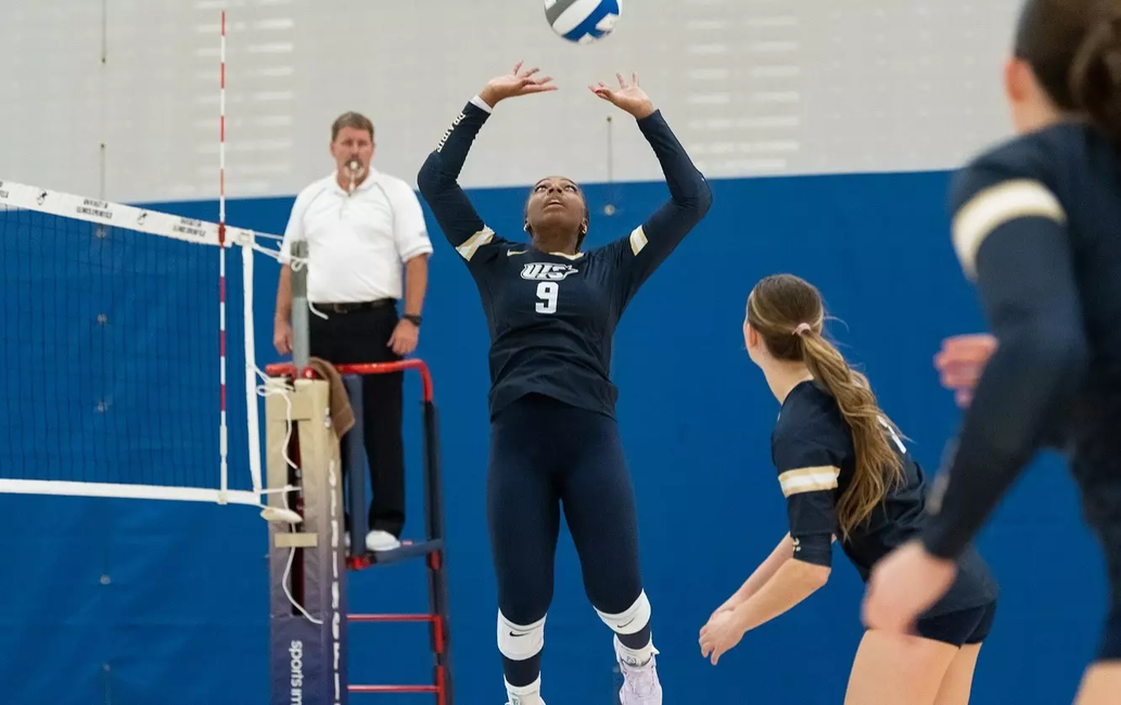 Erica Sledge setting