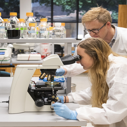 Two people in lab examining things under a microscope in a lab.