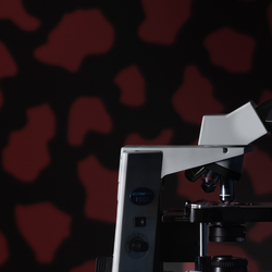 student looking at a slide through a microscope