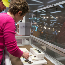 professor looking at artifacts