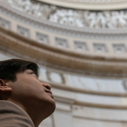 a person looking up into the dome of the Illinois Capitol Building