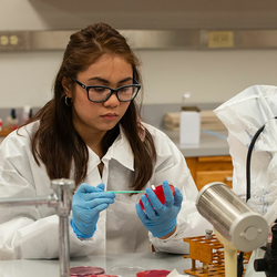students in lab