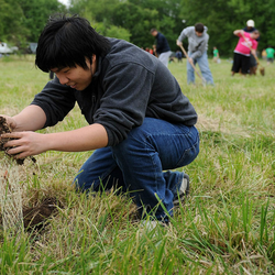 students planting trees