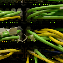 cords