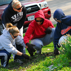 students working outside