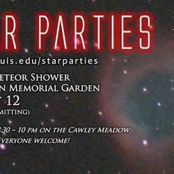 Perseid Meteor Shower At Lincoln Memorial Garden