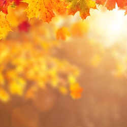 FALL Into the Women's Center- Tabling