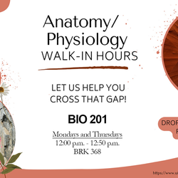 Anatomy/Physiology Walk-In Tutoring