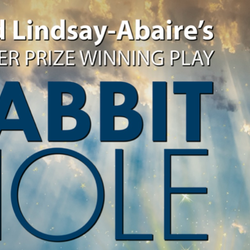  Auditions/Crew Interviews: RABBIT HOLE (UIS Theatre)