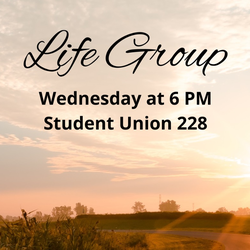 Men's Life group 