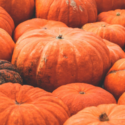 Pumpkin Carving