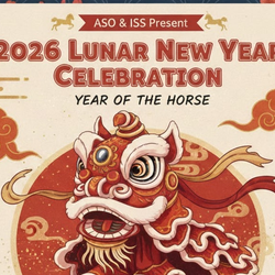 Lunar New Year Spring Festival