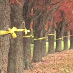 Tie a Yellow Ribbon