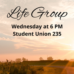 Woman's Life Group 