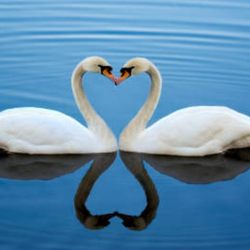 2 XöChÎrÄs Public Ceremony