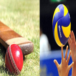 Volleyball &  Cricket fellowship
