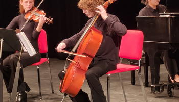 UIS Cellist