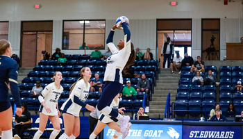 Volleyball player setting