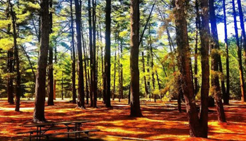 Hike at Sand Ridge State Forest