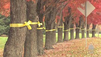 Tie a Yellow Ribbon