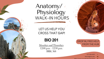 Anatomy/Physiology Walk-In Tutoring