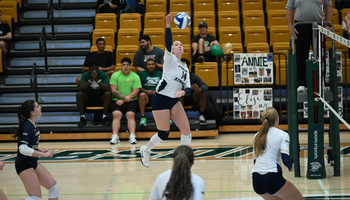 playing volleyball