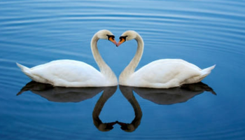 2 XöChÎrÄs Public Ceremony