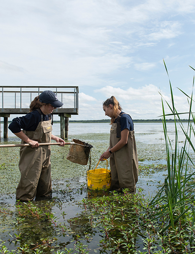 Students in waders collect samples in a wetland at Emiquon near a dock, surrounded by aquatic plants and reeds.