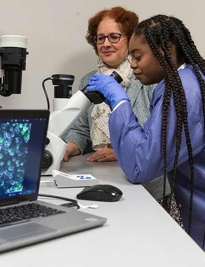 Two women in lab coats examining slides under a microscope.