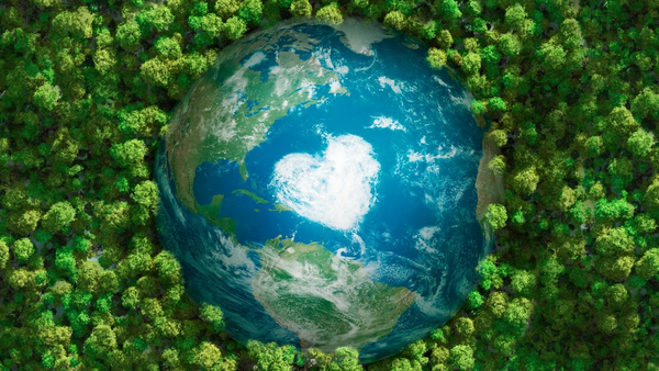 An edited picture of the earth laying on top of trees