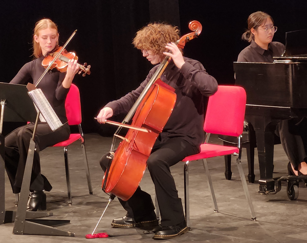UIS Cellist