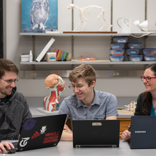Three people smiling, working on laptops in a lab setting.
