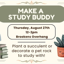 Make a Study Buddy event flyer with succulents and a pet rock illustration.