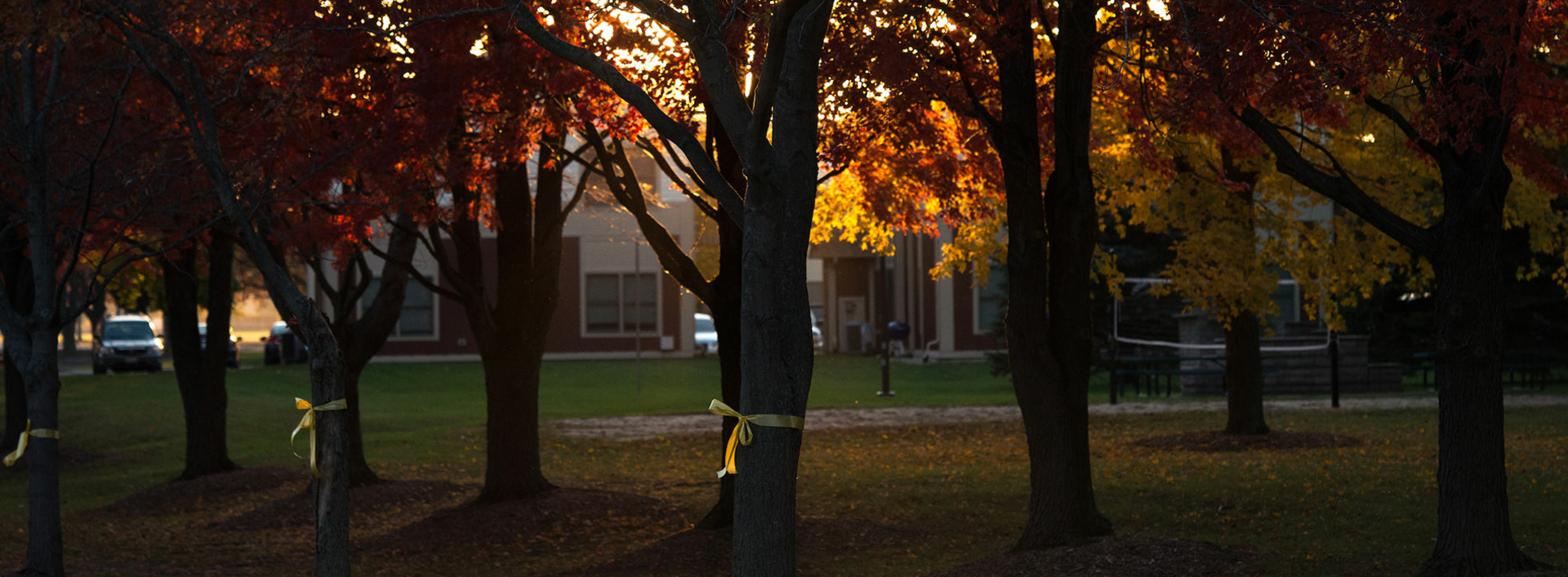 UIS Campus in the Fall