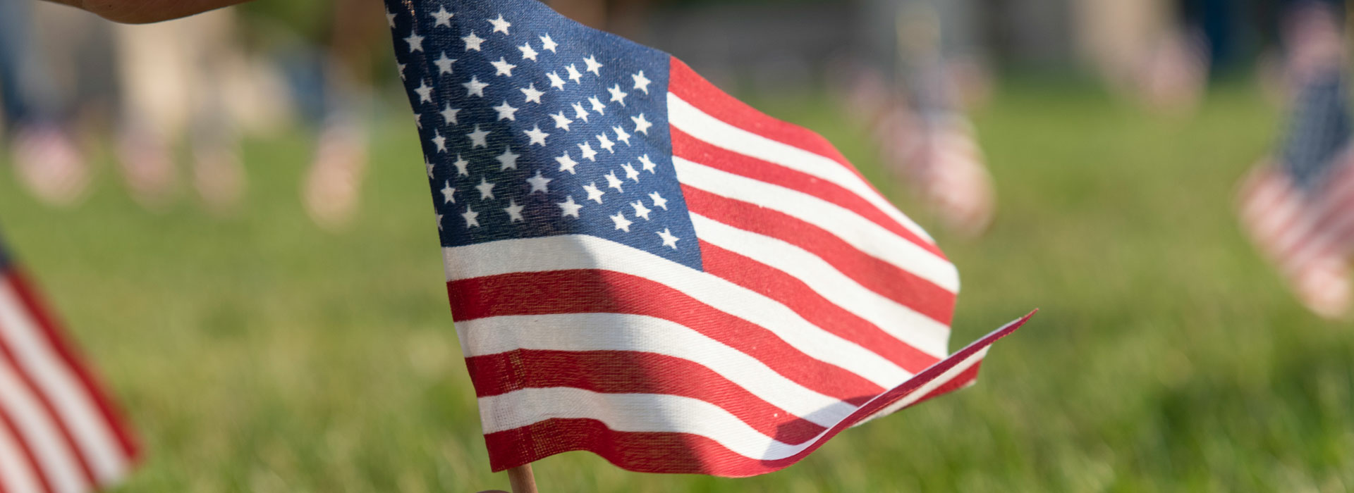 American flags displayed during Veterans Day