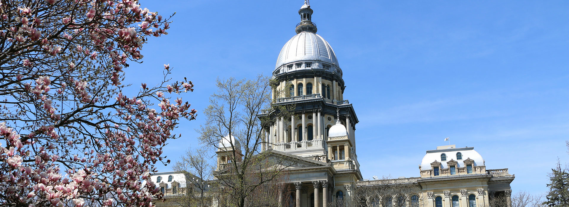 Illinois State Capitol during spring