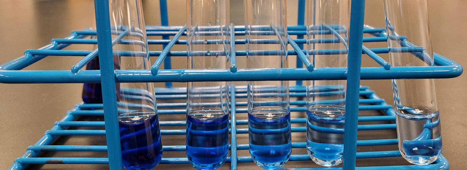 test tubes in rack with various dilutions