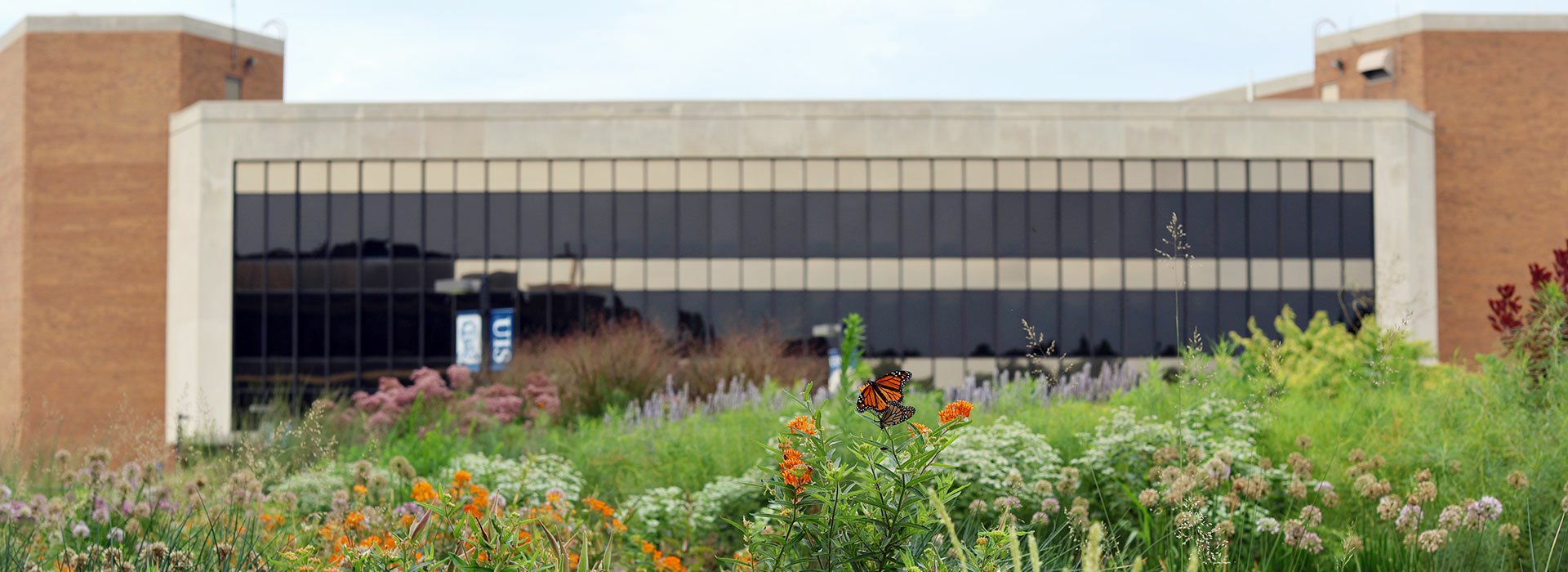 butterfly garden in front of library